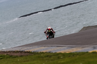PJ-Motorsport-2019;anglesey-no-limits-trackday;anglesey-photographs;anglesey-trackday-photographs;enduro-digital-images;event-digital-images;eventdigitalimages;no-limits-trackdays;peter-wileman-photography;racing-digital-images;trac-mon;trackday-digital-images;trackday-photos;ty-croes
